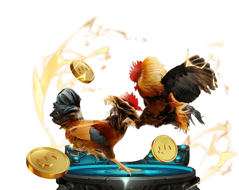 Quy trình 4 bước để trở thành đối tác ga67